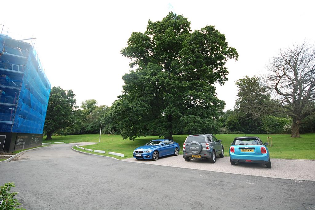 Grounds
