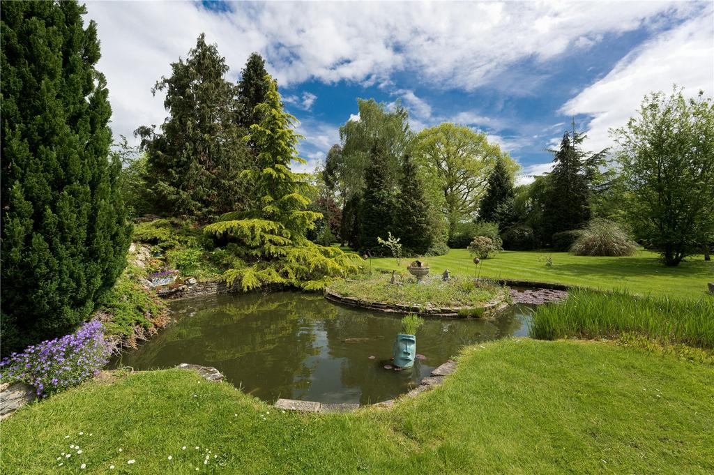 Pond View