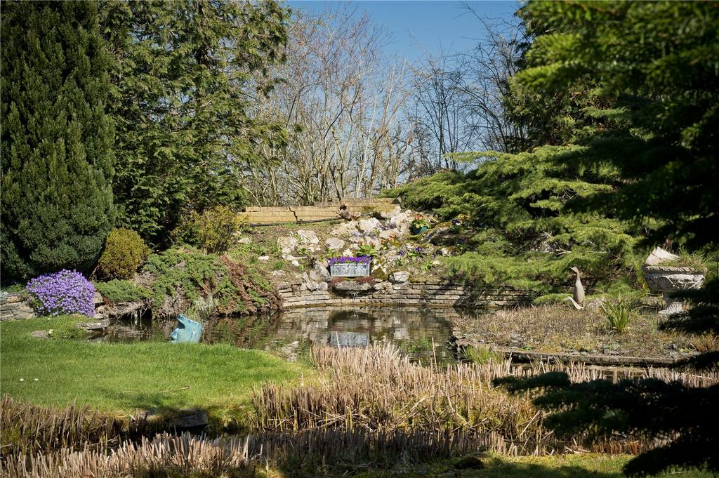 Pond