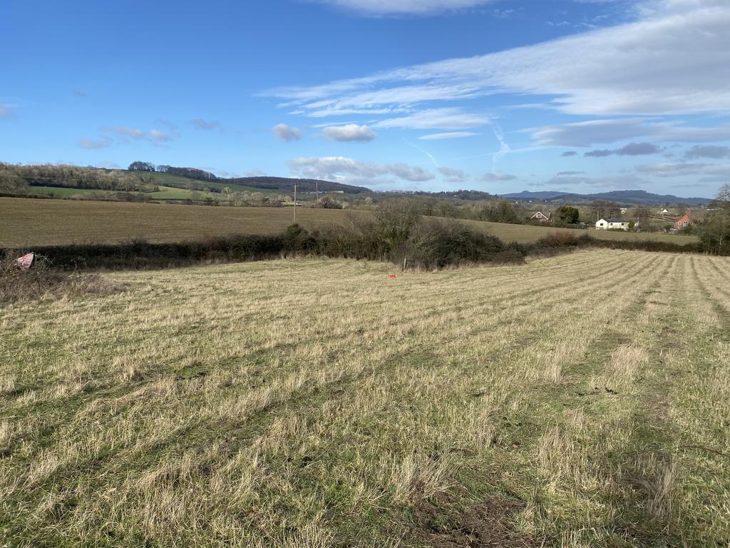 Newnham on Severn GL14 Farm land £50,000