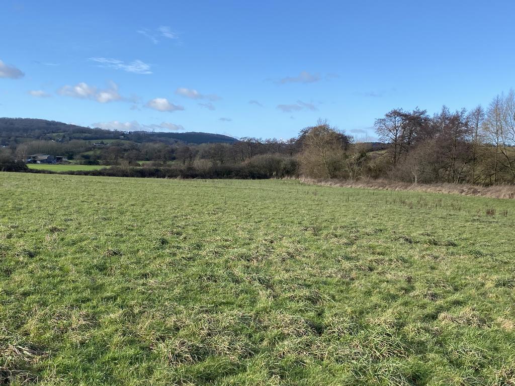 Westbury on Severn GL14 Farm land £150,000