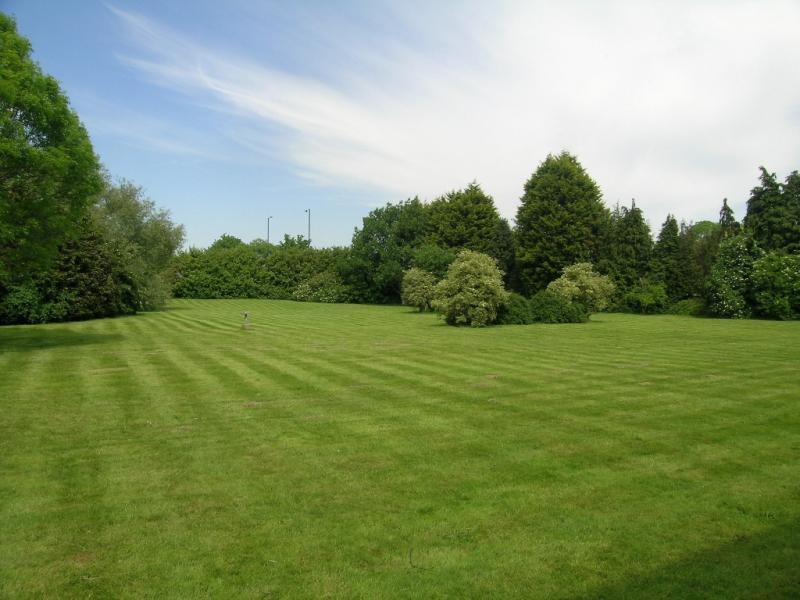 Communal Garden