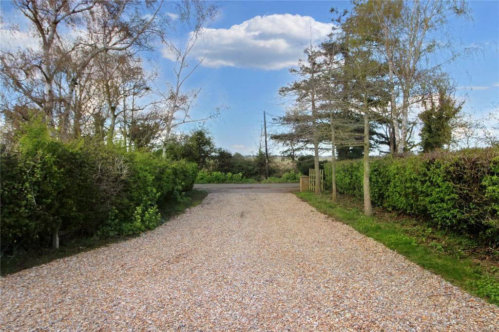 Driveway