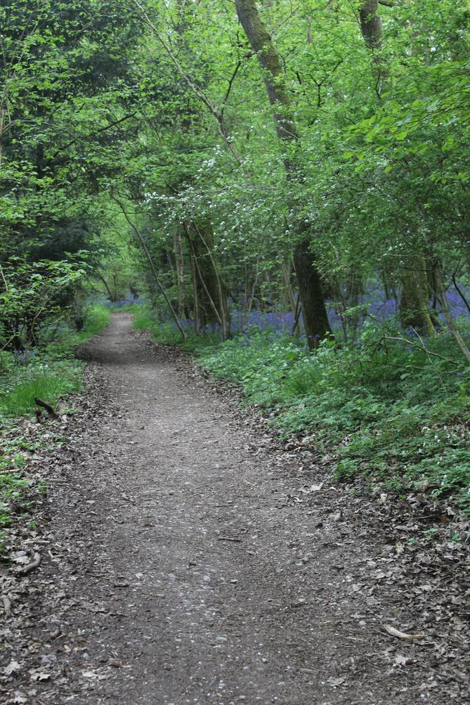 Good access to Bridleway network on your boundary