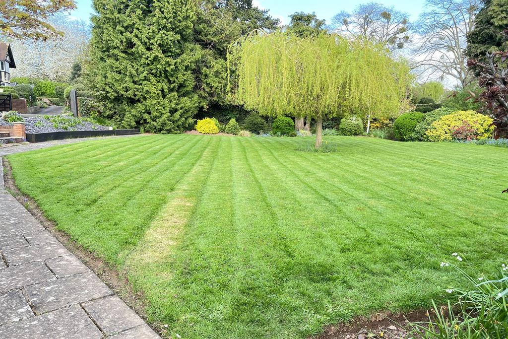 Garden 2
