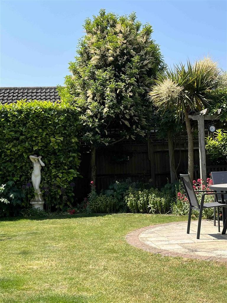 Garden new 4.JPG