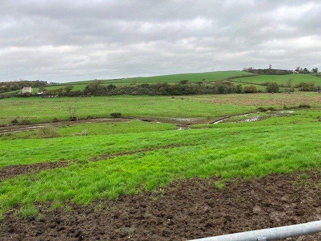 View Across Site