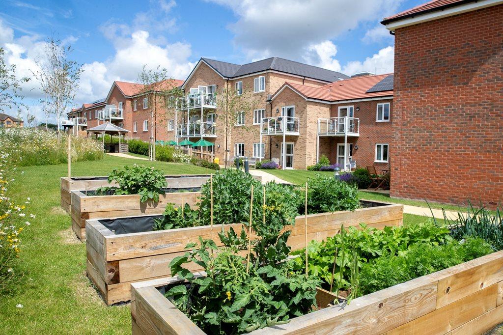 Communal Gardens