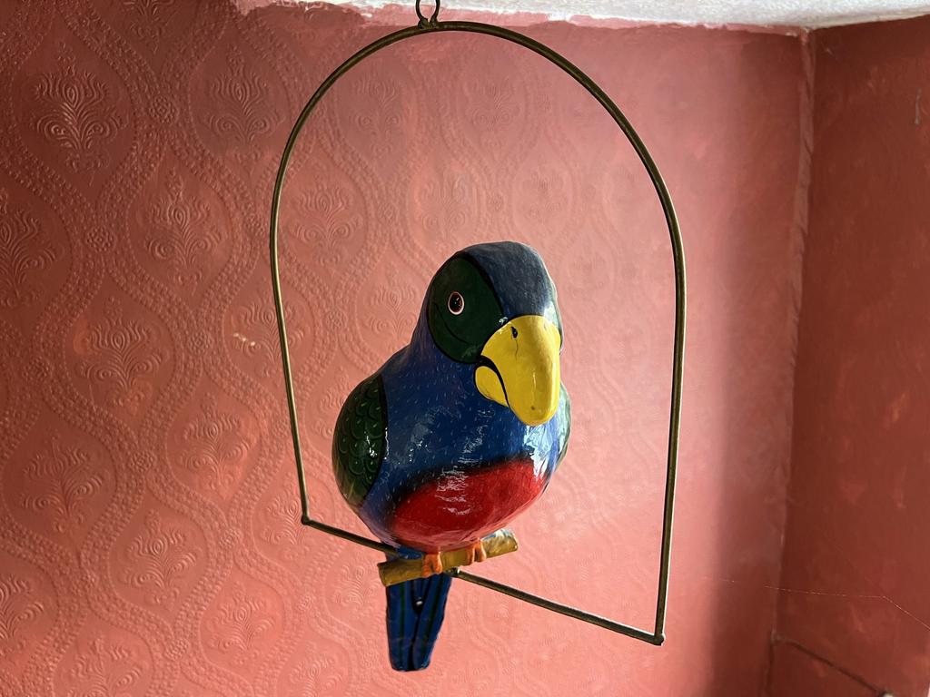 Img 0799.jpg