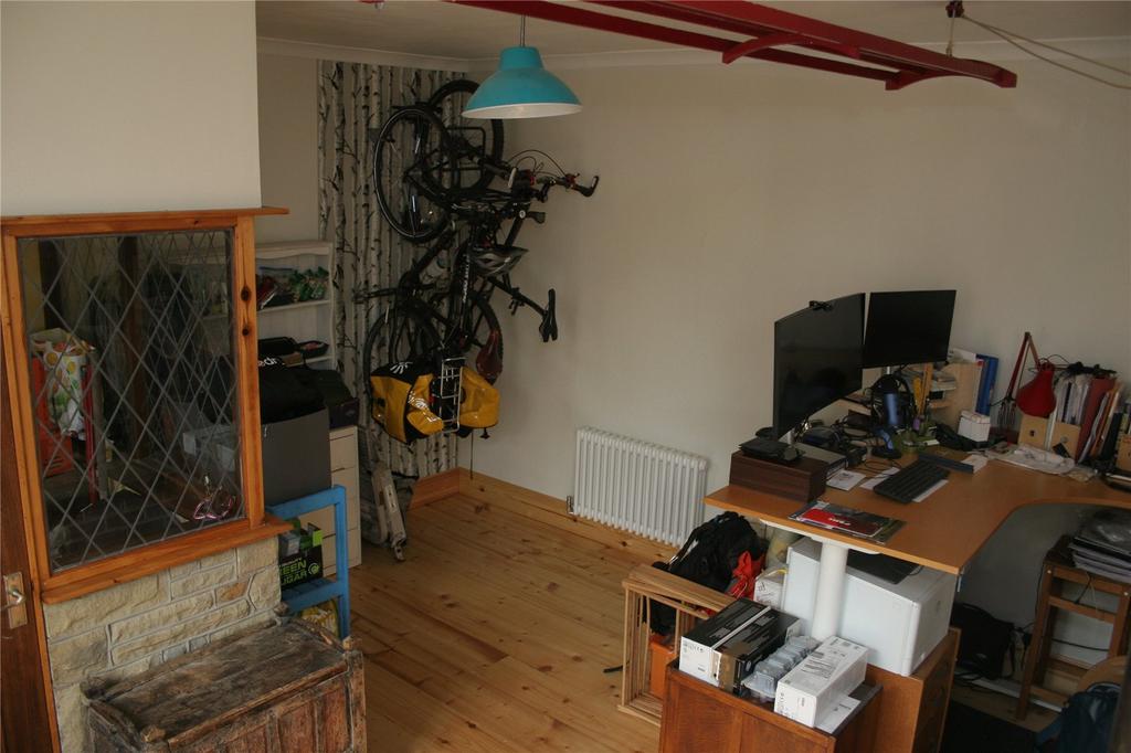 Study Area