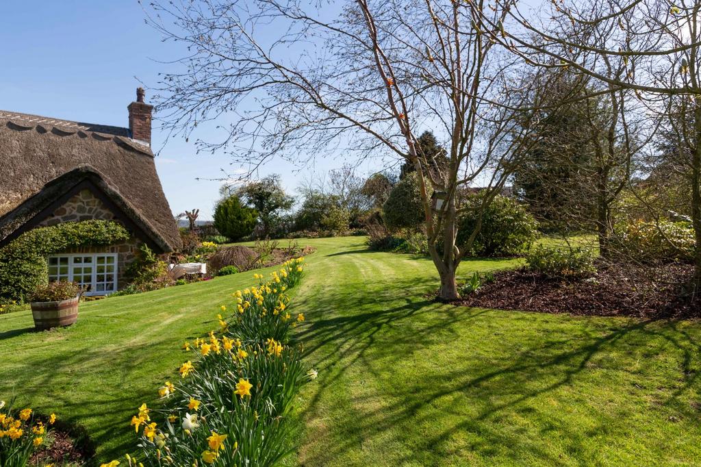 Rear Gardens