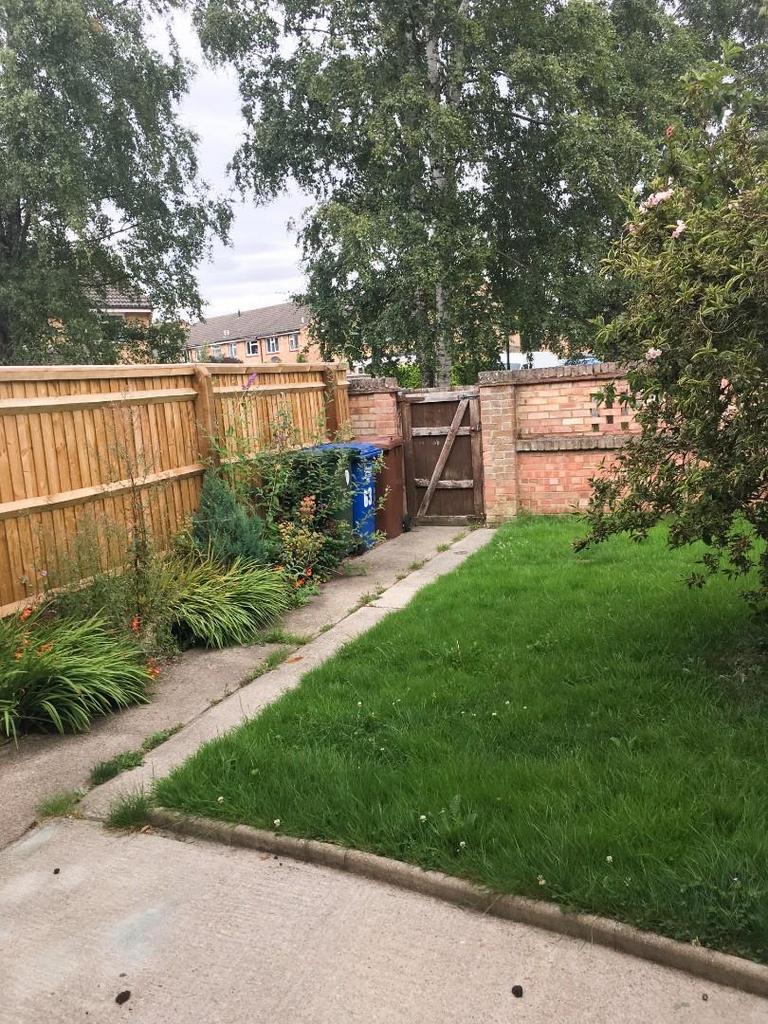 Another aspect of rear garden
