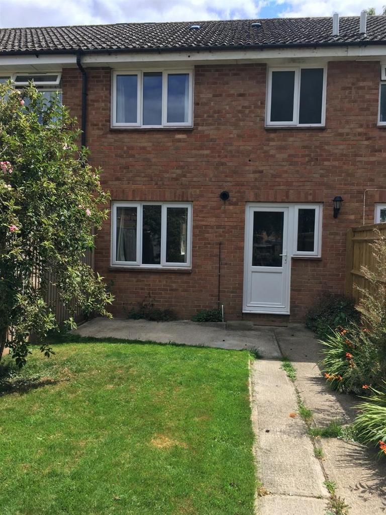 Another aspect of rear garden
