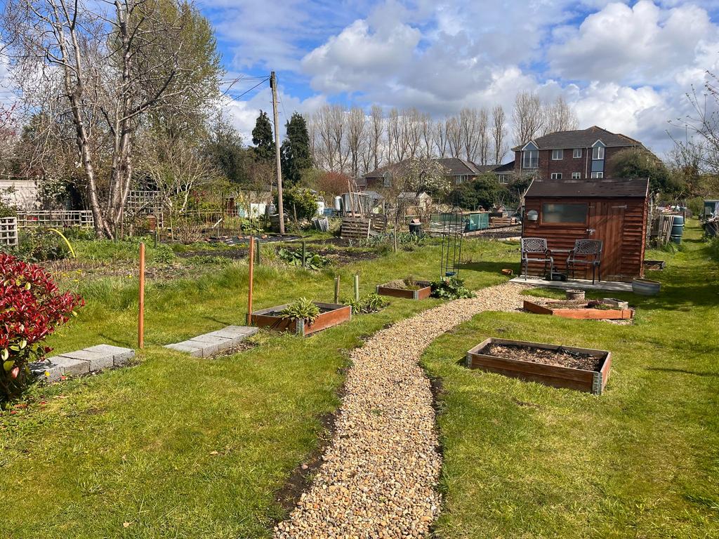 View of allotments.