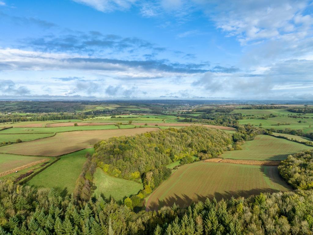 Woods and Valley