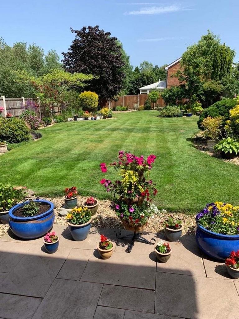 Rear Garden.jpg