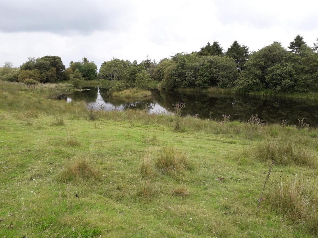 Lake setting (second image)