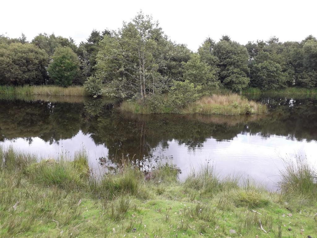 Lake setting (third image)