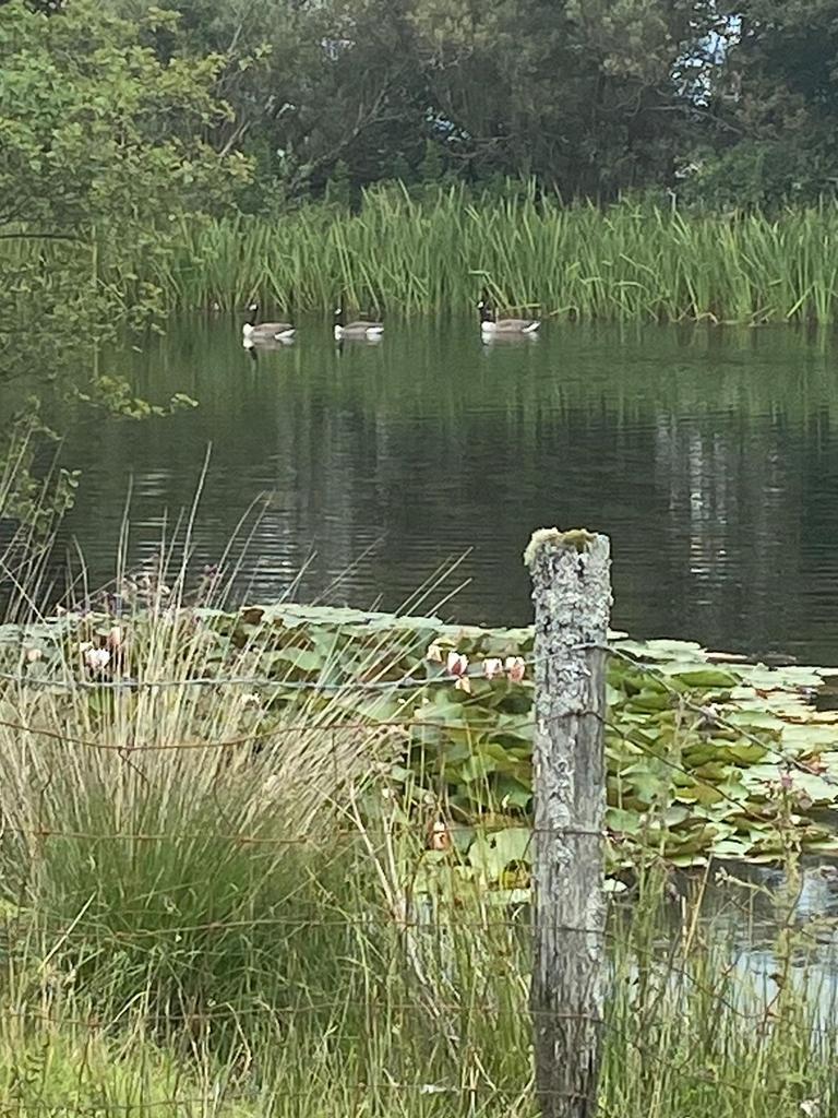 Lake setting (fourth image)