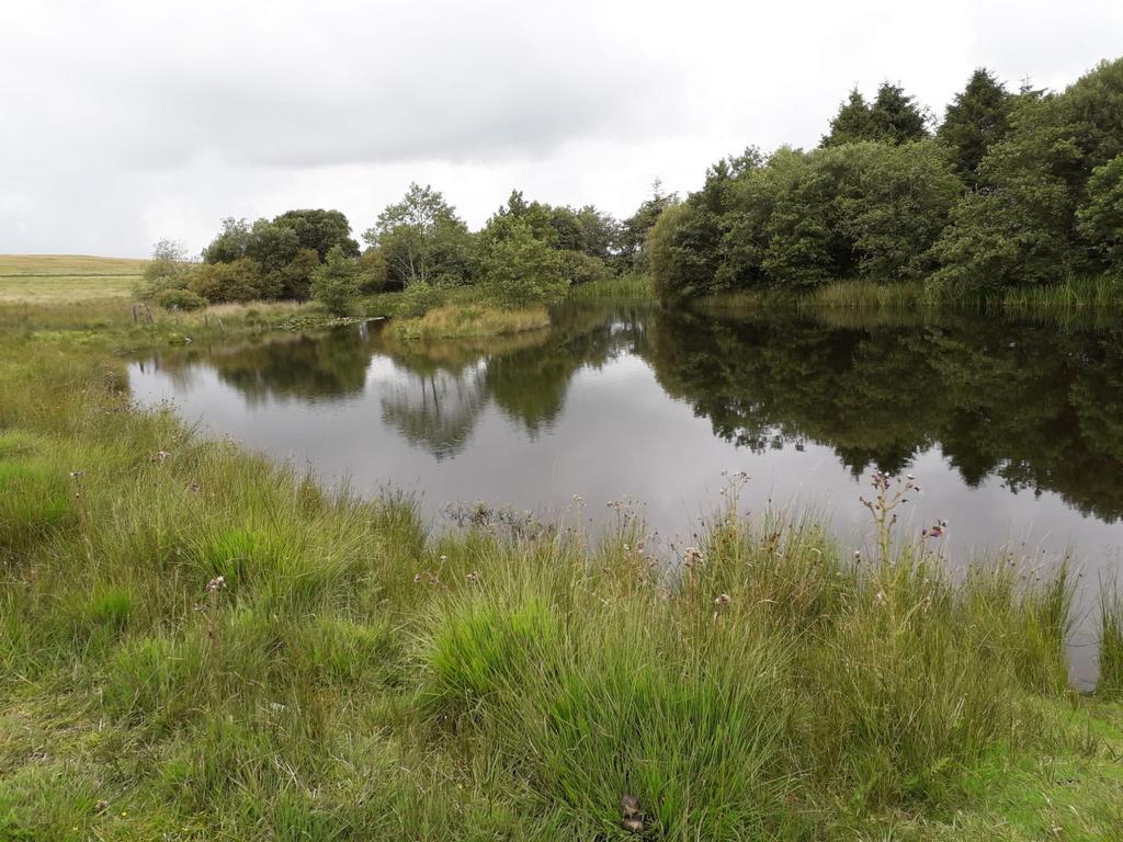 Lake setting (fifth image)