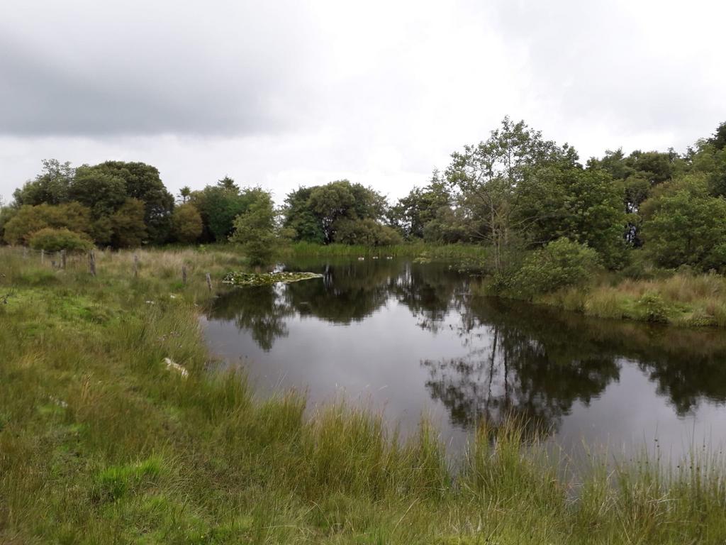 Lake setting (seventh image)