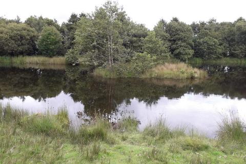 undefined, Cellan, Lampeter, SA48