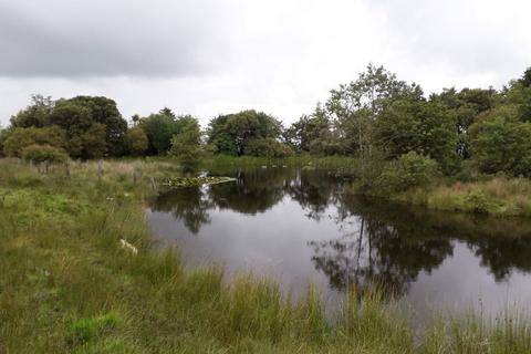 undefined, Cellan, Lampeter, SA48