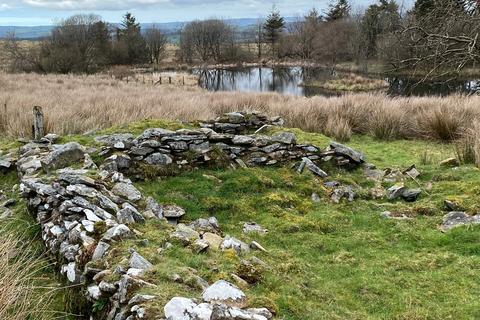 undefined, Cellan, Lampeter, SA48