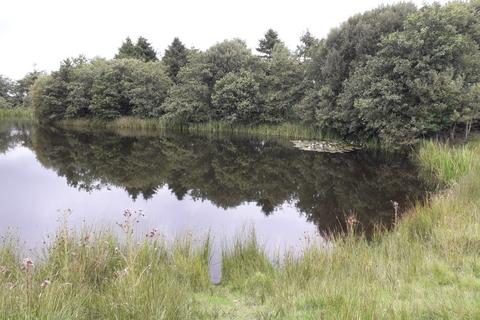 undefined, Cellan, Lampeter, SA48