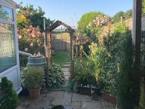 Rear garden new 2.jpg