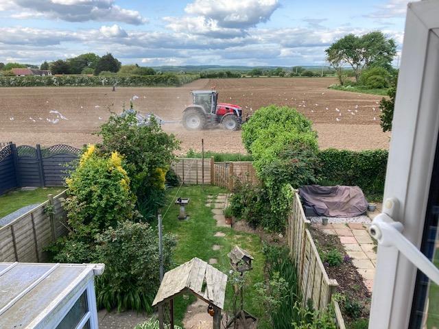 Rear garden new.jpg