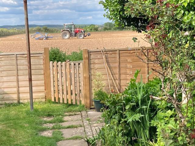 Farmland.jpg