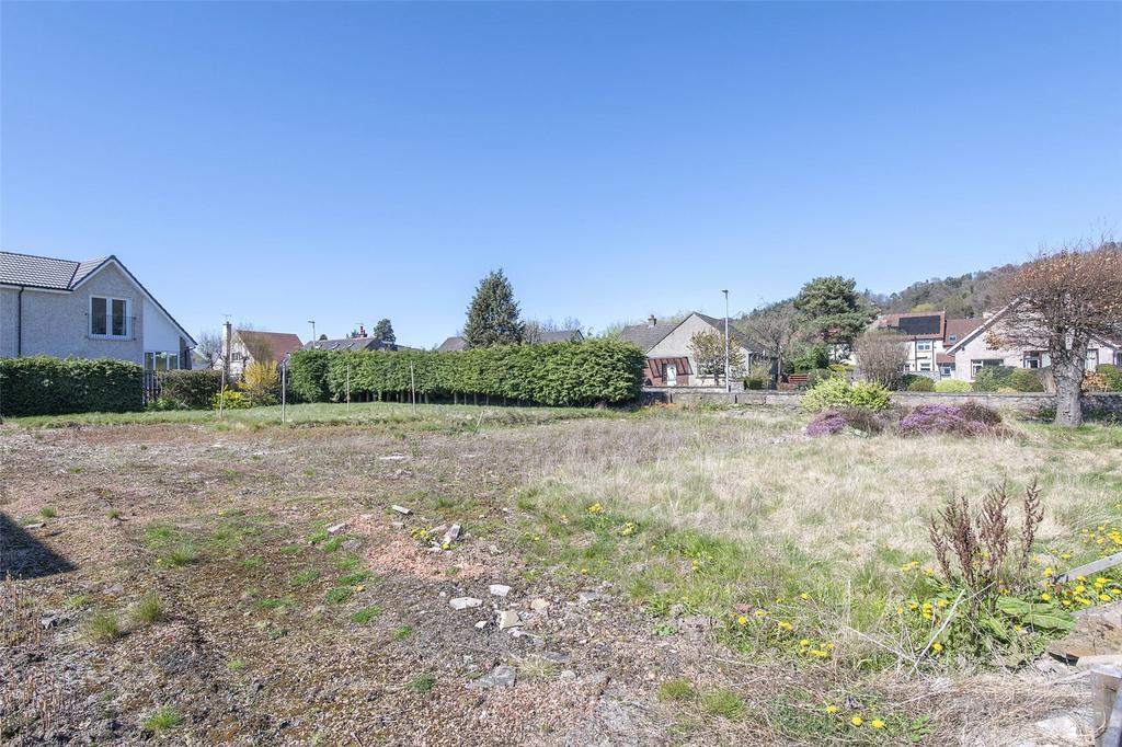 Plot View