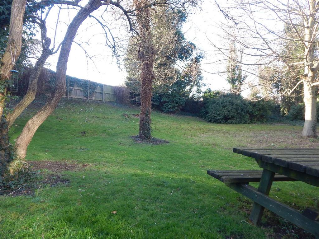 Dscn4406.jpg