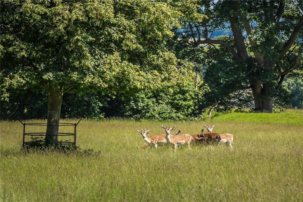 Studley Park