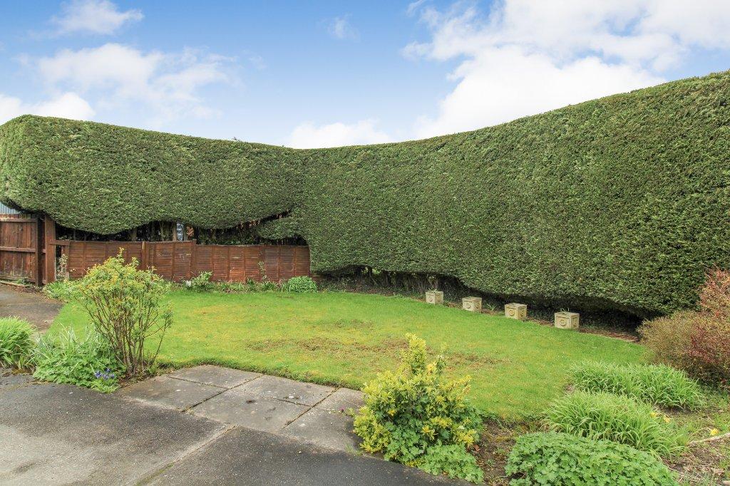 Side Garden
