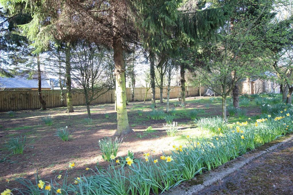 Beck Lane, Welton Land for sale £295,950