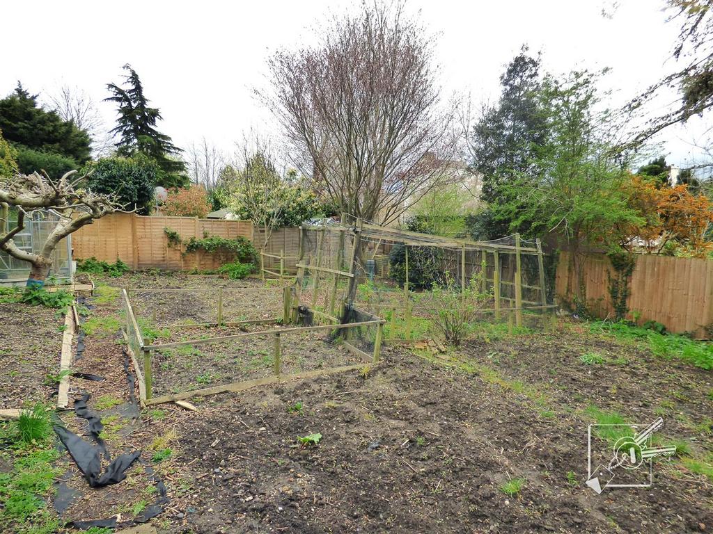 Vegetable Plot