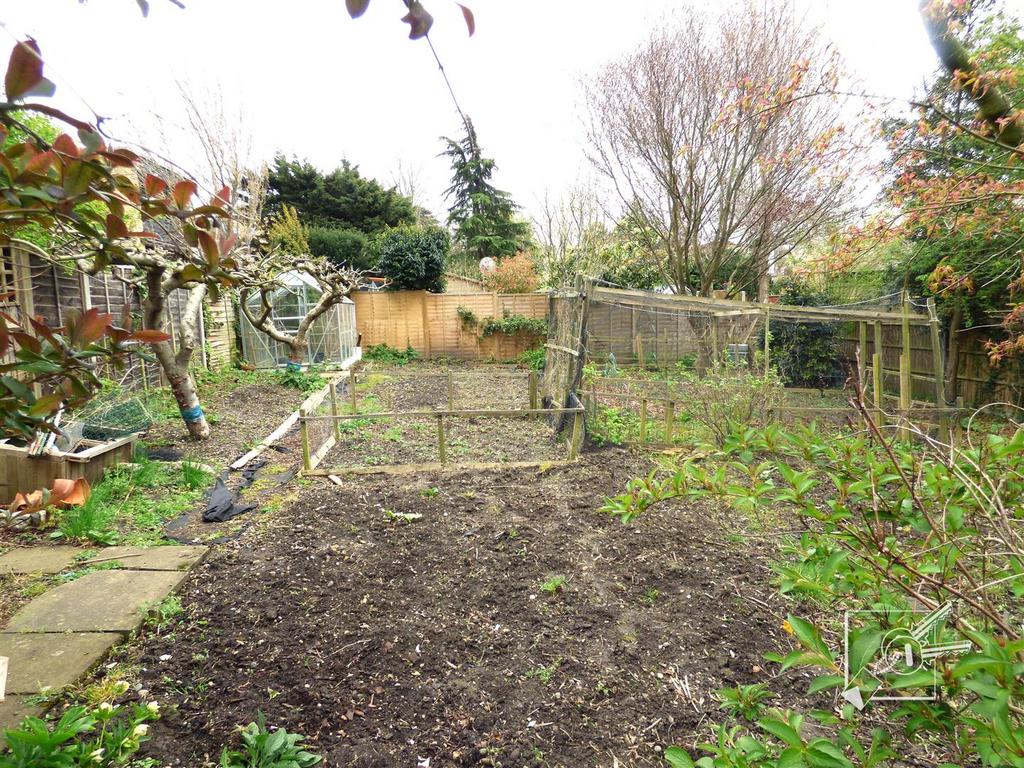 Vegetable Plot