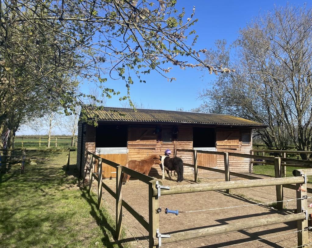 CAMBS, Barcham, Near Ely STARTER EQUESTRIAN / SMALLHOLDING / LIFESTYLE