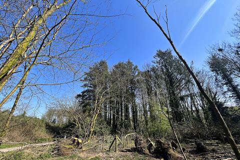 Plot for sale, Ringford, Castle Douglas DG7