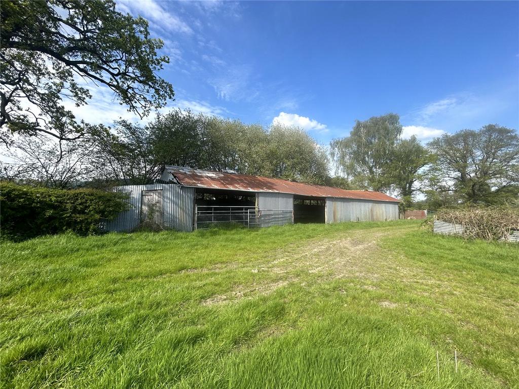 Picture No. 16