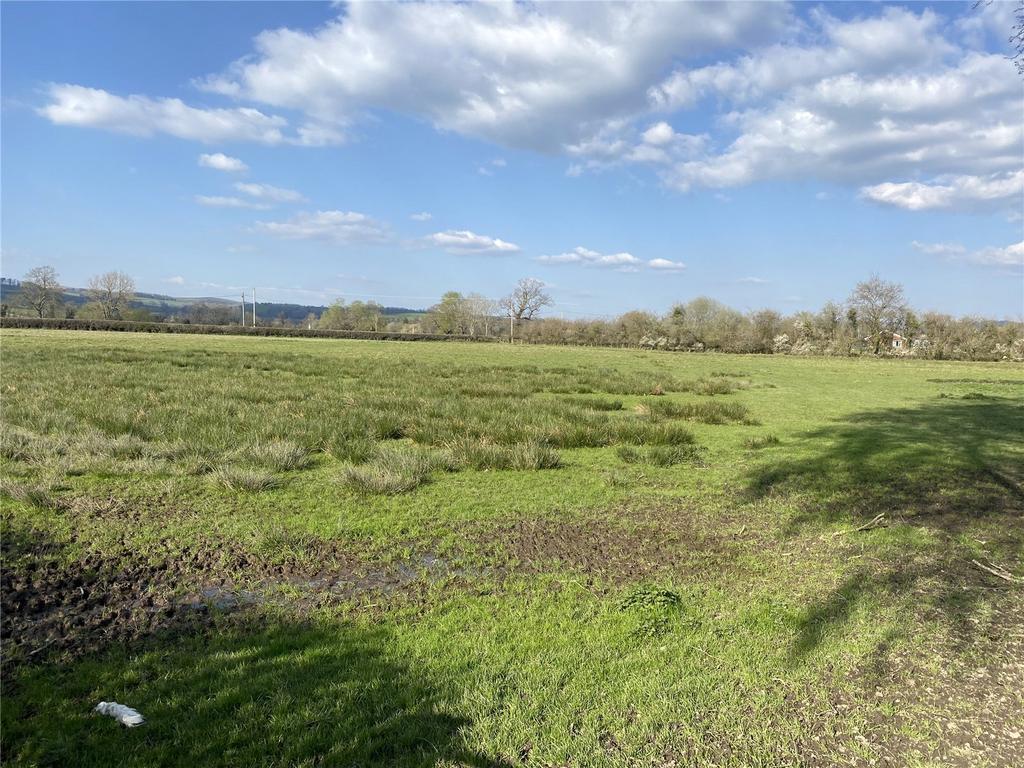 Picture No. 09