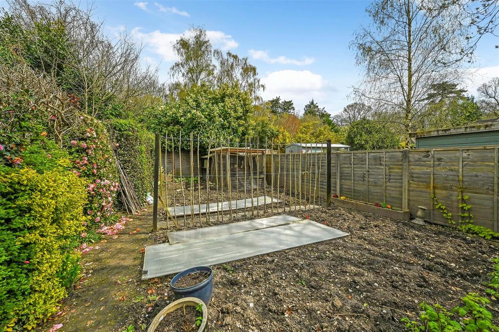 Vegetable Patch
