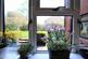 Kitchen View