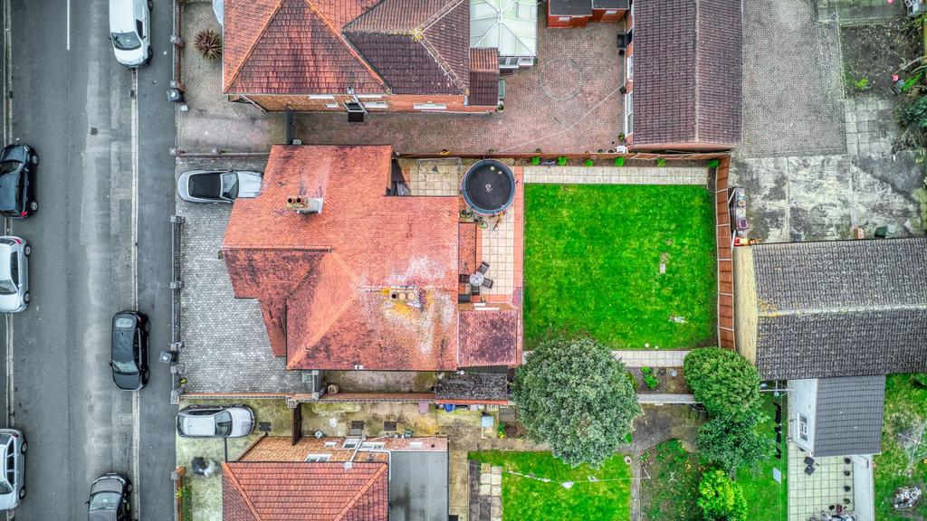 Birds Eye
