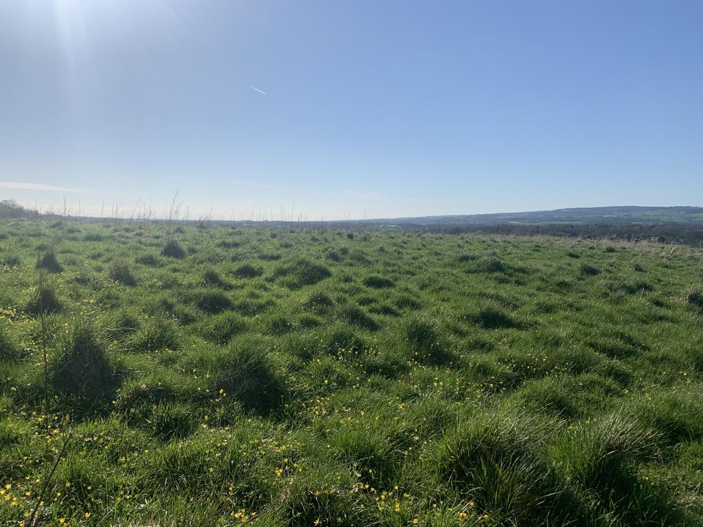 Accrington Road, Whalley BB7 Farm land for sale £100,000