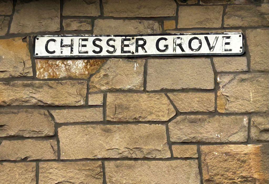 Chesser