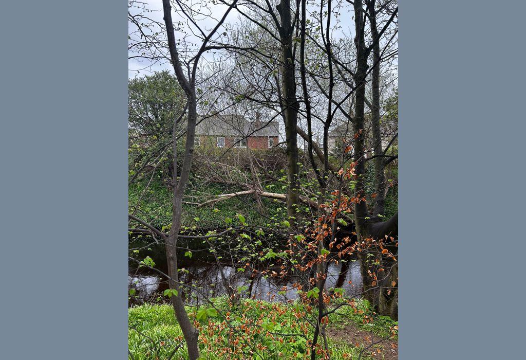 View to the flat from Water of Leith