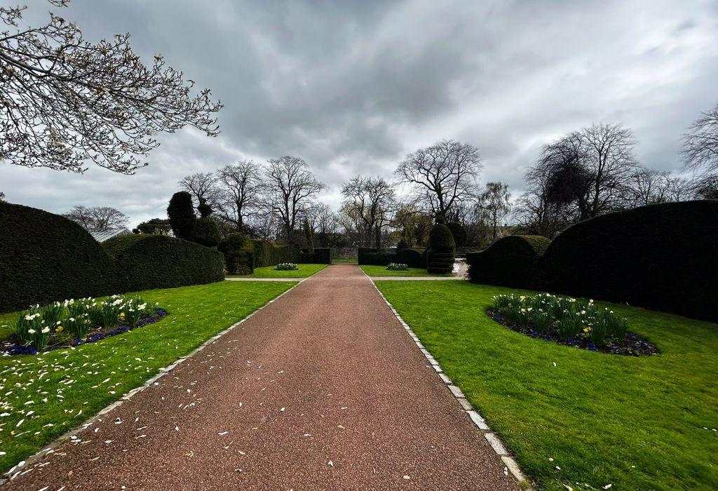 Peaceful Walks